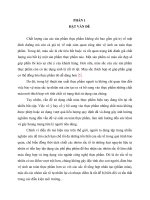 nghiên cứu về sắc tố chlorophyll trong rau quả và những biến đổi của nó trong quá trình bảo quản và chế biến