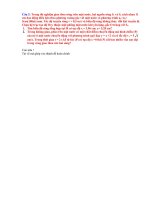 Câu 3 HSG Nam Định (2012_2013)