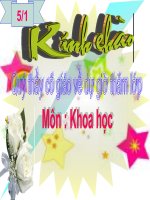 khoa học -lớp 5 tiết 57- tuần 29