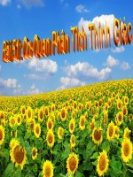 bài 51 CƠ QUAN PHÂN TÍCH THÍNH GIÁC