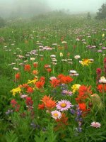 Cau tao va chuc nang cua da