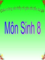 Bài 52: PHẢN XẠ KHÔNG ĐIỀU  KIỆN VÀ PHẢN XẠ CÓ ĐIỀU KIỆN