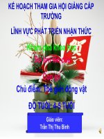 KPKH: Sự sinh sản và phát triển của gà.