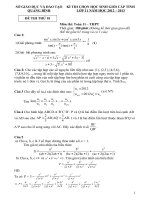 Đề.Đáp án HSG 11( Xem trước 27.3.2013)