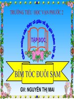 Bím tóc đuôi sam