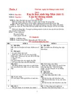 giao an lop ghep 1 + 3