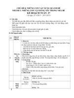 Vật nuôi trong nhà bé_Tuần 27