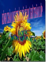 cơ quan sinh sản thực vat có hoa