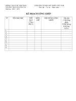 MẪU KẾ HOẠCH LÔNG GHÉP