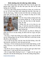 dinh dưỡng cho trẻ