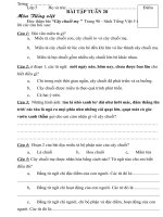 Bài tập tuần 28 - lớp 5