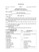 tuần 19 đến tuần 22 lớp 4