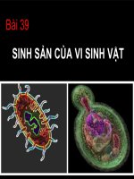 Bài 39 sinh sản của vi sinh vật