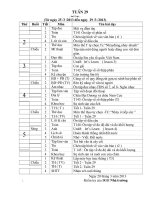 chương trinh tuần 29 + 30