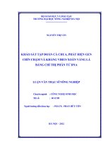 Khảo sát tập đoàn cà chua, phát hiện gen chí chậm và kháng virus xoăn vàng lá bằng chỉ thị phân tử DNA