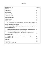 sang kien kinh nghiem hóa 9