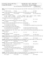 ĐỀ KIỂM TRA 1 TIẾT CHƯƠNG OXI - LƯU HUỲNH 2012 - 2013 MĐ 202