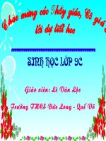 Sinh học lớp 7. Tiết:56. MT sống và sự vận động di chuyển