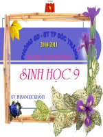 Bai Dot bien cau truc NST