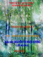 MỘT SỐ CON VẬT SỐNG TRONG RỪNG