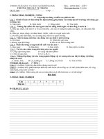 Kiểm tra 45 phút - học kì II