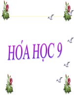 Tiết 56 mối liên hệ