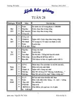 Giáo án tuần 28 lớp 3 (cktkn)