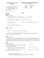 Đề thi học sinh giỏi môn Toán năm học 2012-2013