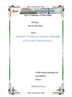 tìm hiểu về phụ gia tạo màu tổng hợp và cơ chế cảm nhận màu