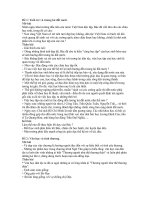 viết bài tập làm văn số 7