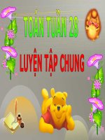 TOÁN 5 TUẦN 28 - THỨ 4 - LTC