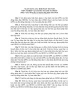 Ngân hàng câu hỏi thi công chức lĩnh vực chuyên ngành tư pháp 2013