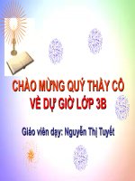 Diện tích của một hình lớp 3