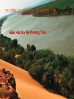 Kinh te Trung & Nam My