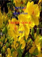 Bài 44: đa dạng và đặc điểm chung của lớp chim