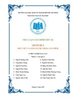 TIỂU LUẬN MÔN TÀI CHÍNH TIỀN TỆ CHUYÊN ĐỀ 3 ĐIỀU TIẾT VÀ GIÁM SÁT HỆ THỐNG TÀI CHÍNH