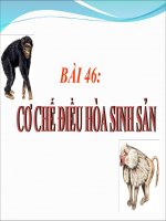 bài 46. cơ chế điều hòa sinh sản