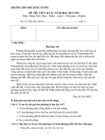 ĐÊ THỊ GIỮA KI II- MÔN TIẾNG VIỆT