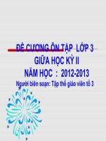 ĐỀ CƯƠNG ÔN TẬP - LỚP 3