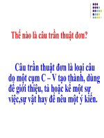 Câu trần thuật đơn có từ 