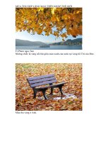 Hình ảnh Mùa Thu