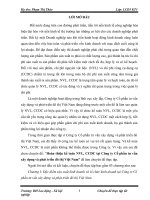 Hoàn thiện kế toán nguyên vật liệu, công cụ dụng cụ tại công ty cổ phần tư vấn xây dựng và phát triển đô thị việt nam