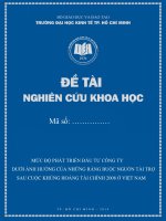 ĐỀ TÀI: Mức độ phát triển đầu tư công ty dưới ảnh hưởng của những ràng buộc nguồn tài trợ sau cuộc khủng hoảng