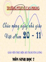 bai 21- đặc điểm chung và vai trò của ngành thân mên (hay)