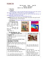 Giáo án lớp 3 HKII Môn Tập đọc