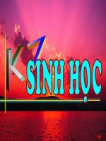 Bài 48: ®a d¹ng cña thó – Bé thó huyÖt, bé thó tói