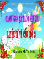 Luyen tu va cau Mo rong von tu ve cay coi