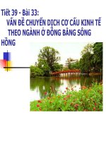 đông bang sông hồng