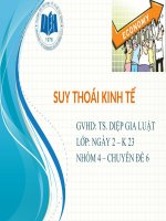 Báo cáo môn lý thuyết tài chính tiền tệ : SUY THOÁI KINH TẾ