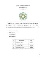 xây dựng chiến lược phát triển sản xuất kinh doanh cho các doanh nghiệp quy mô nhỏ ngành chế biến thức ăn chăn nuôi ở hải dương  giai đoạn 2011-2015